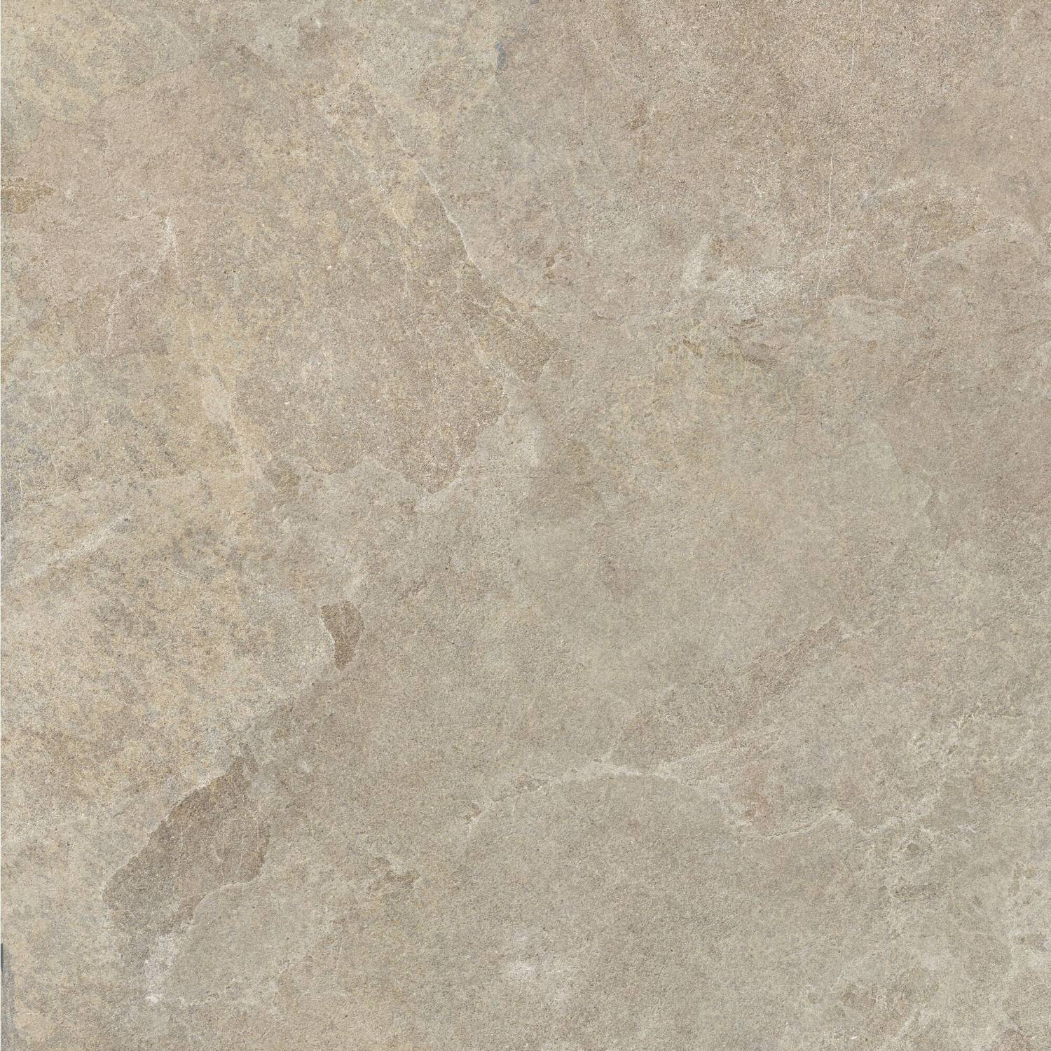 Camel AS C R 100x100